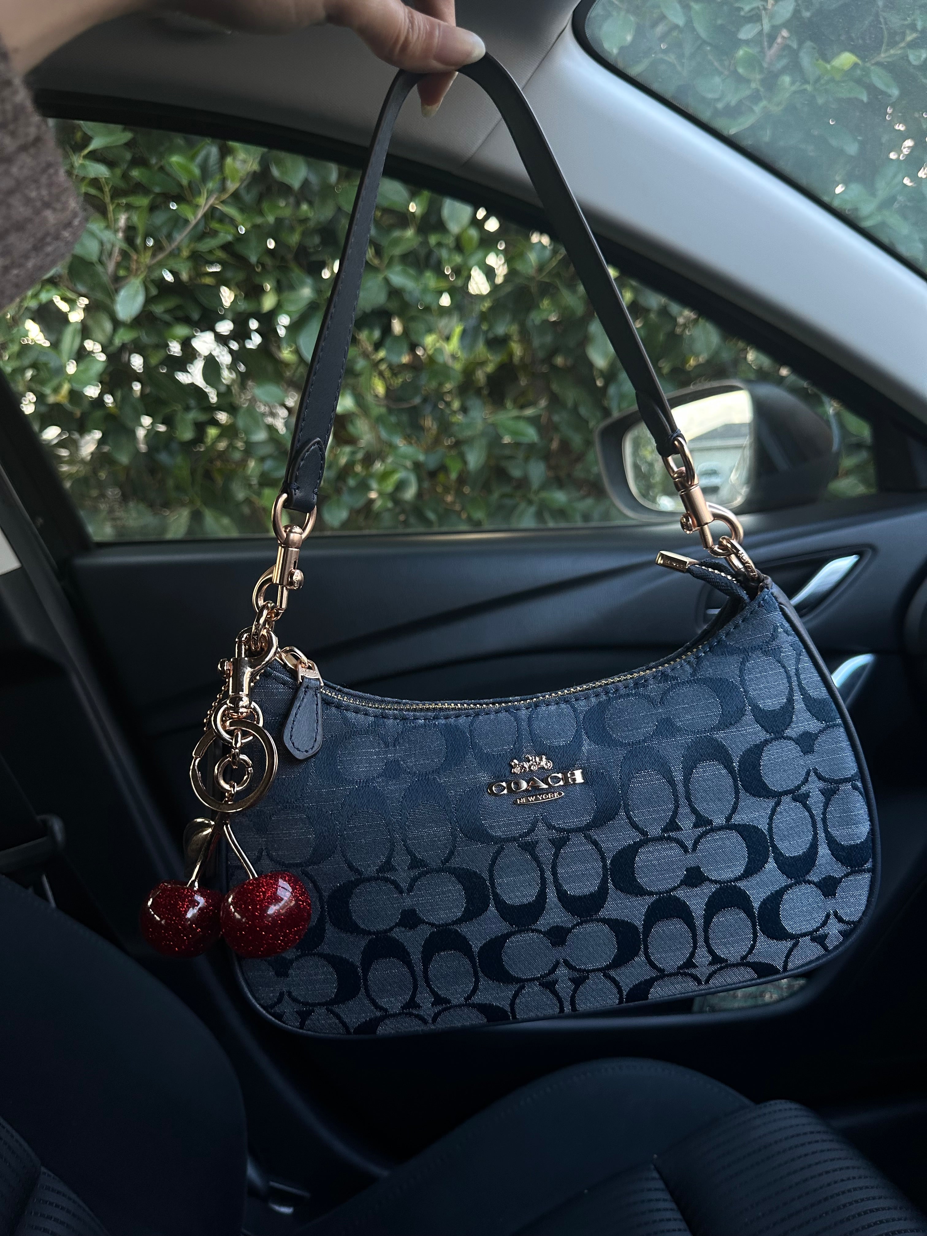 Teri Collection