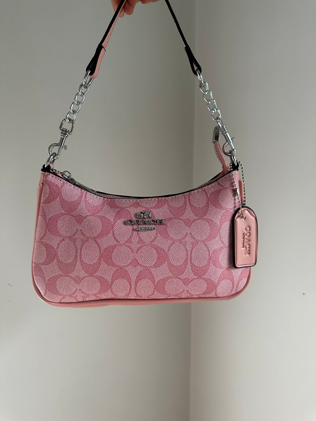 Hot Pink Silver Teri Bag