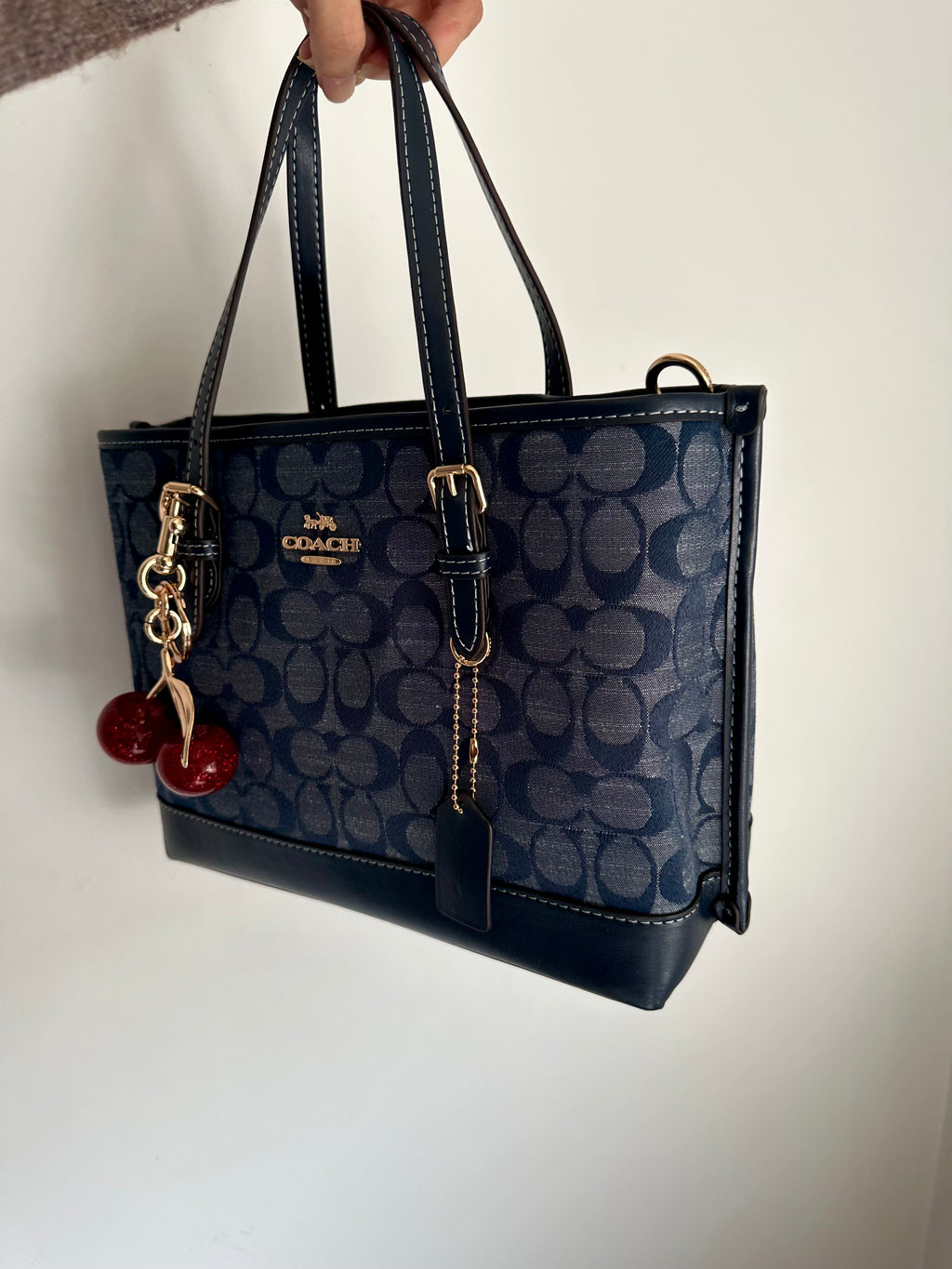 Denim Teri Shoulder Handbag