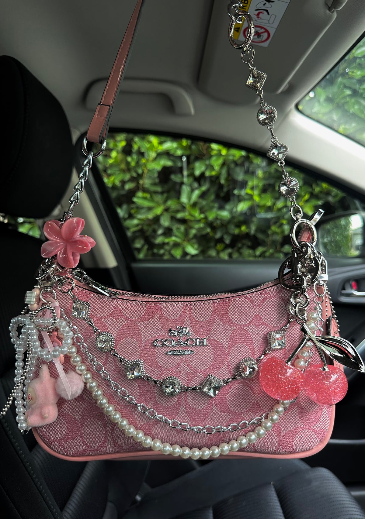 Hot Pink Silver Teri Bag