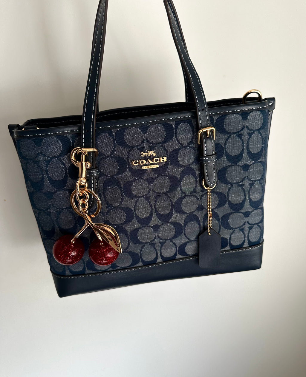 Denim Teri Shoulder Handbag