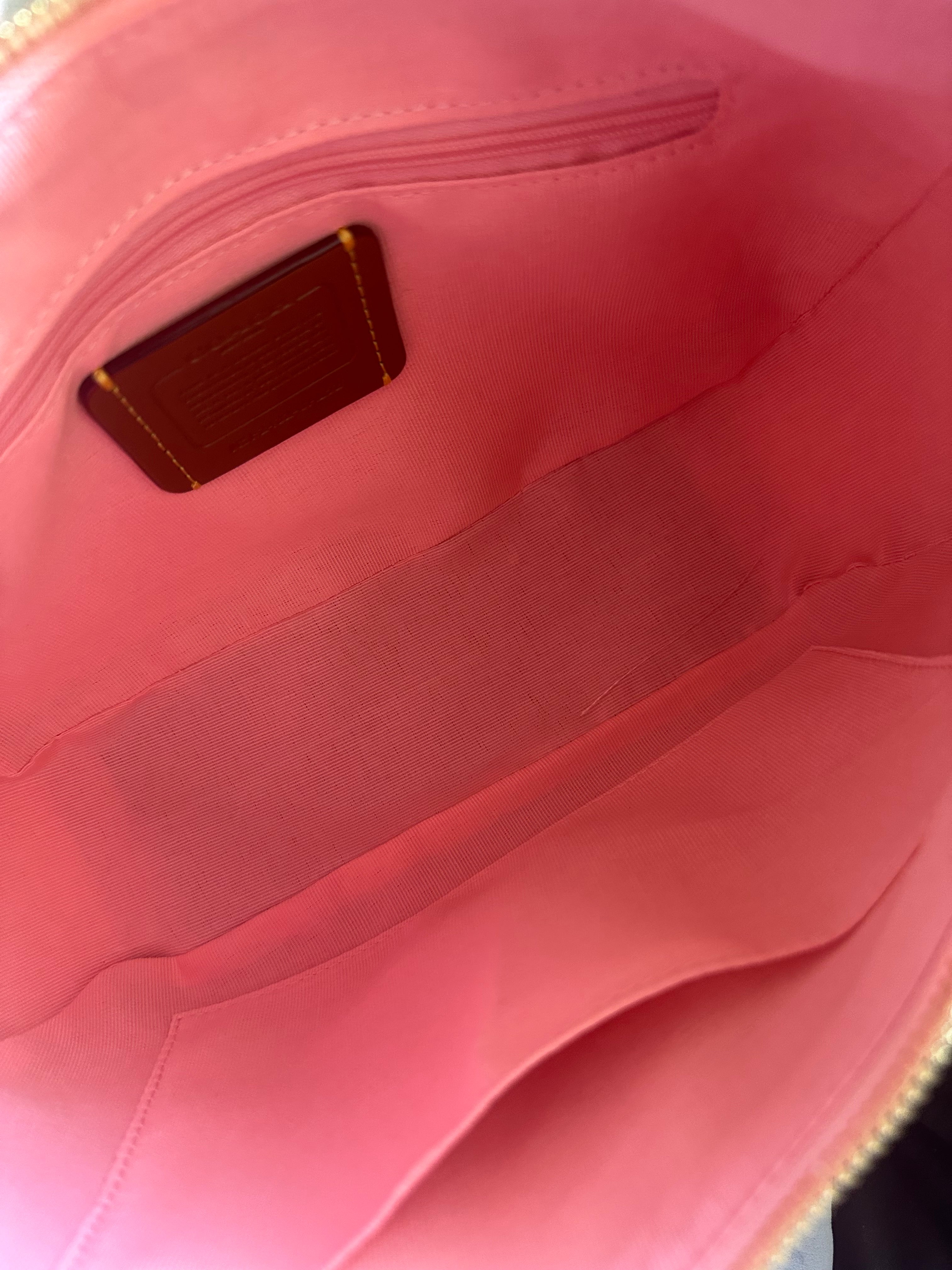 Pink Hobo Teri Charmed bag