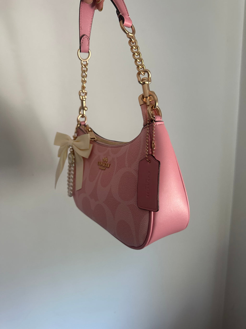 Pink Teri Charmed bag